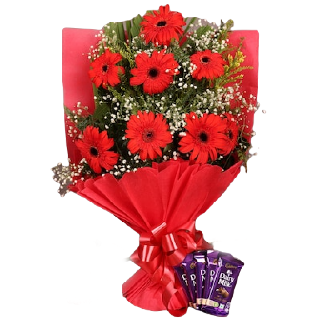 Red Gerbera with Chocolate