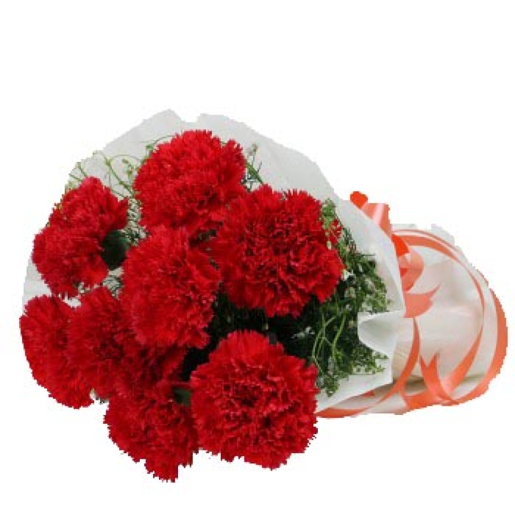 Red Carnation Love Bouquet