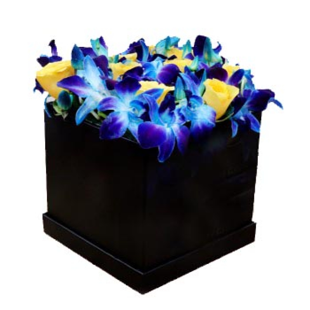 Blue Orchid Flowers Box Arrangement