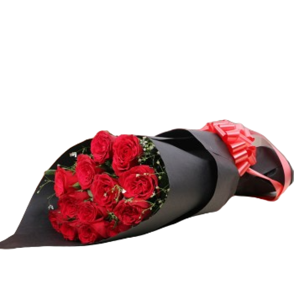 Red Roses Beauty Flowers