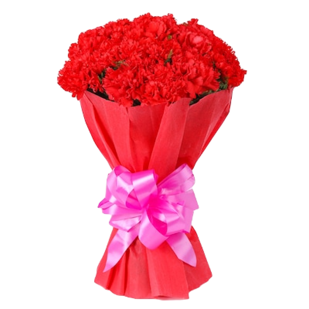 Amazing Red Carnation Flower Bouquet