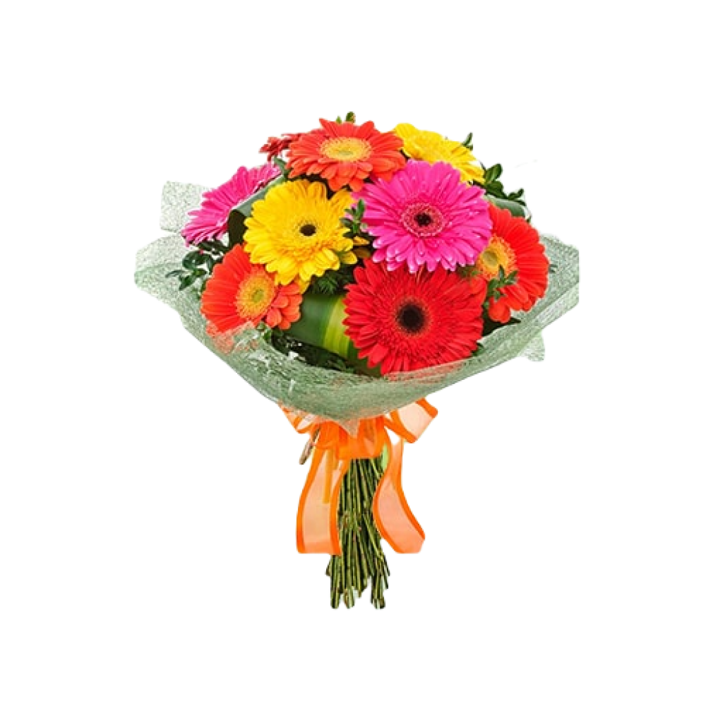 Gerbera Flowers Bouquet Online