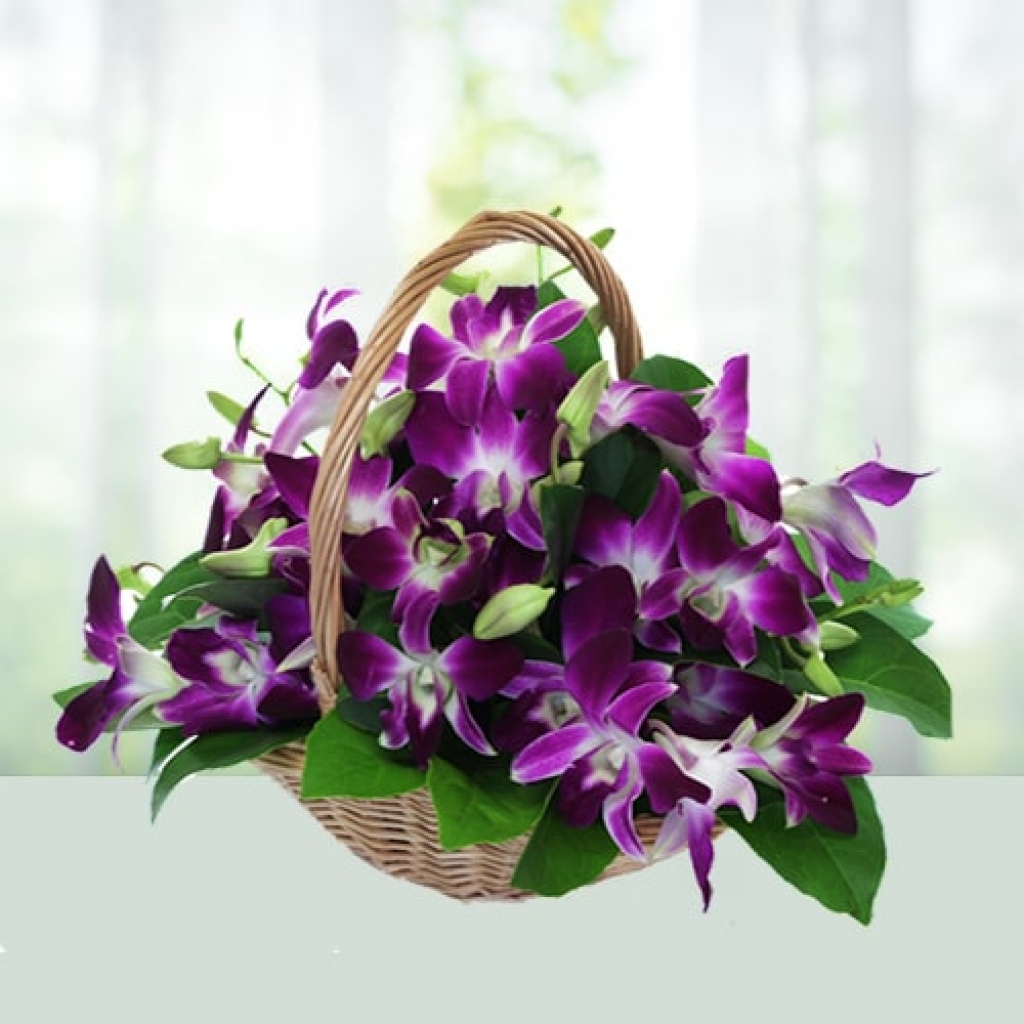 Beautiful Orchid Flowers Basket